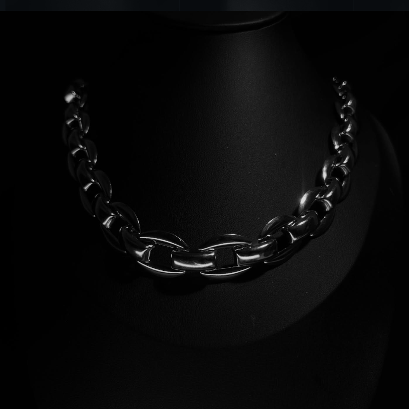 Kayra Steel Chain Necklace